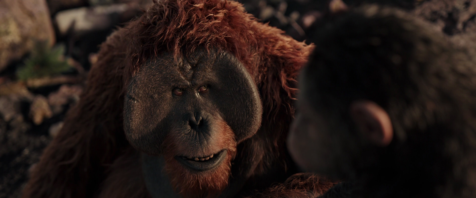 War for the Planet of the Apes (2017) screencap 15396
