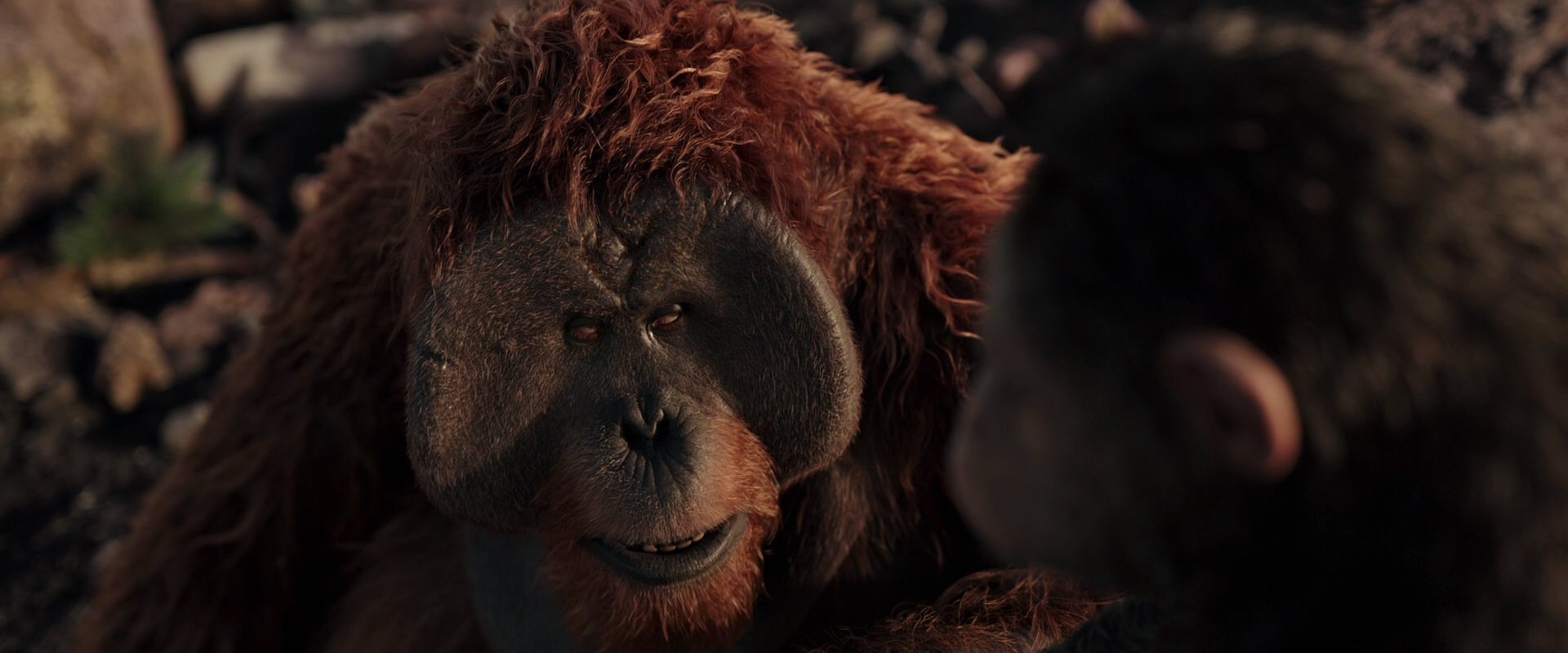 War for the Planet of the Apes (2017) movie still 15397