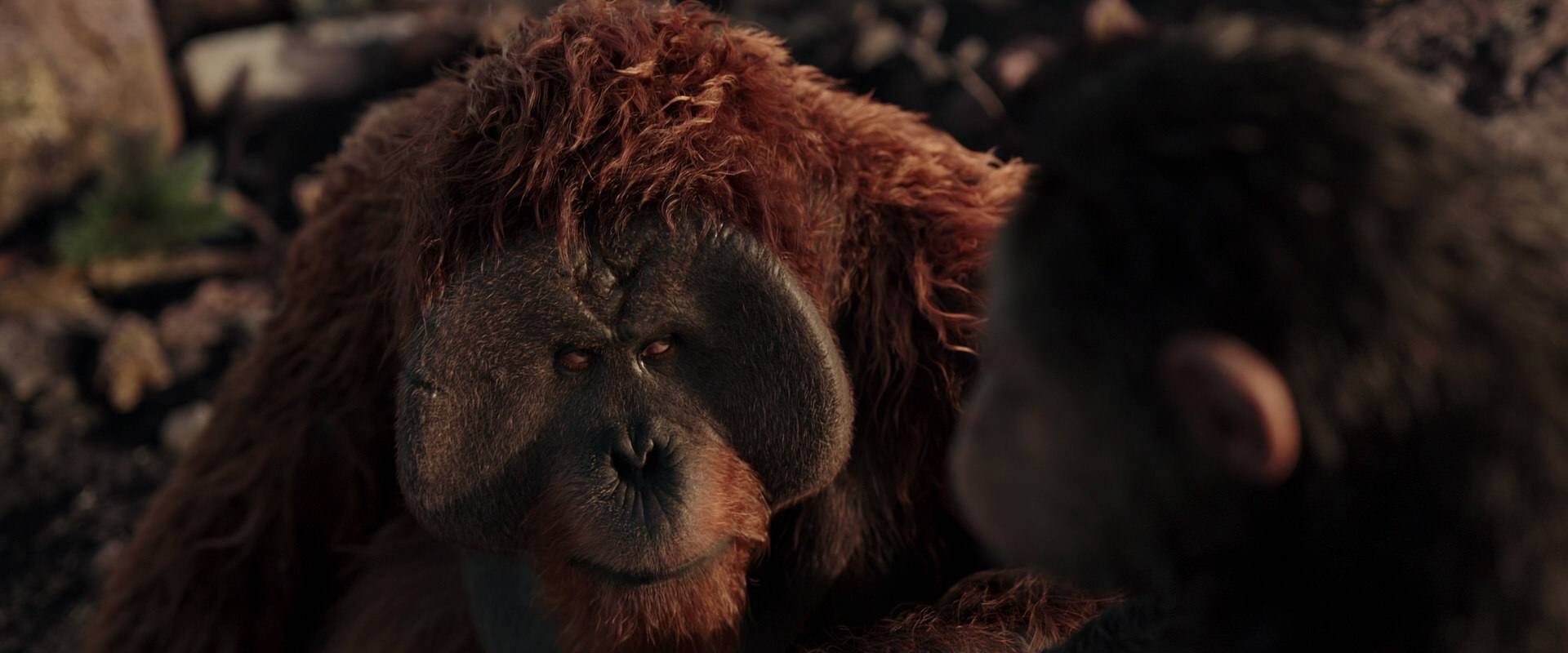War for the Planet of the Apes (2017) HD screenshot 15398