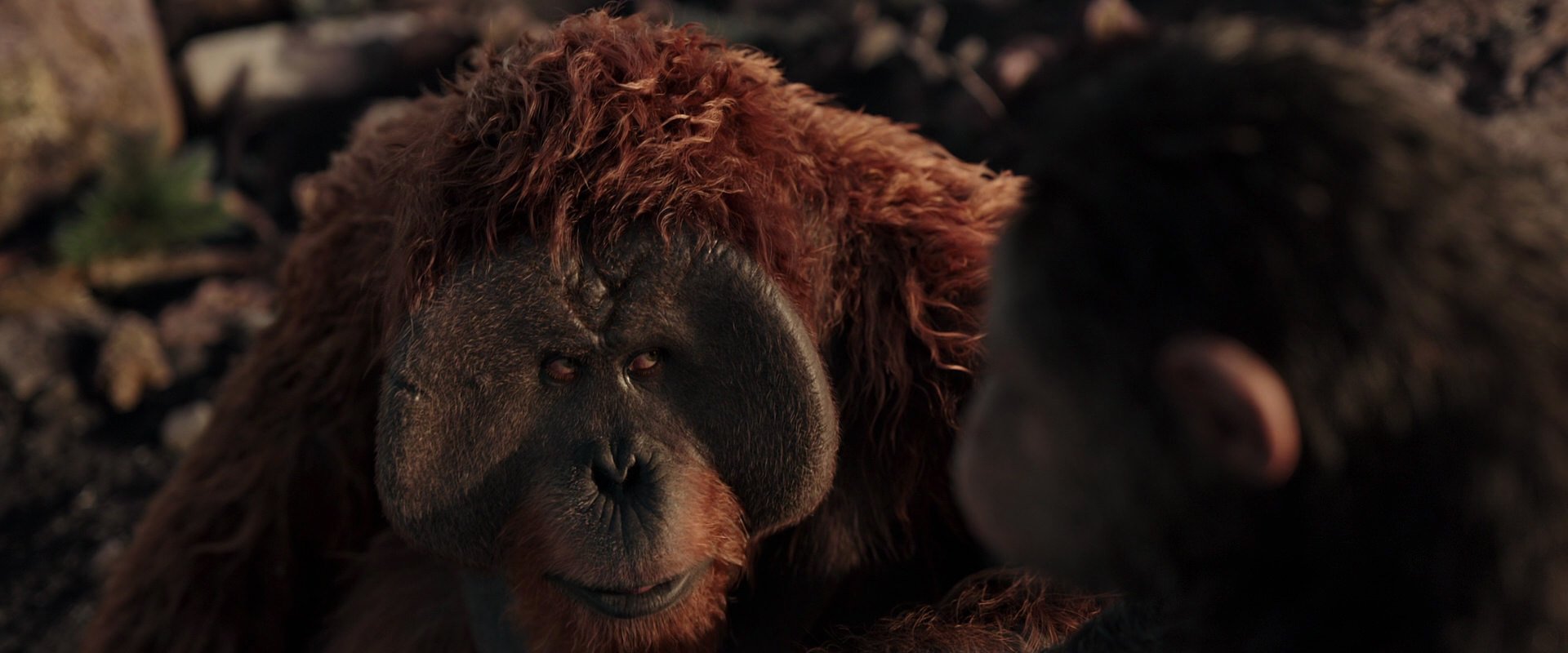 War for the Planet of the Apes (2017) screencap 15399