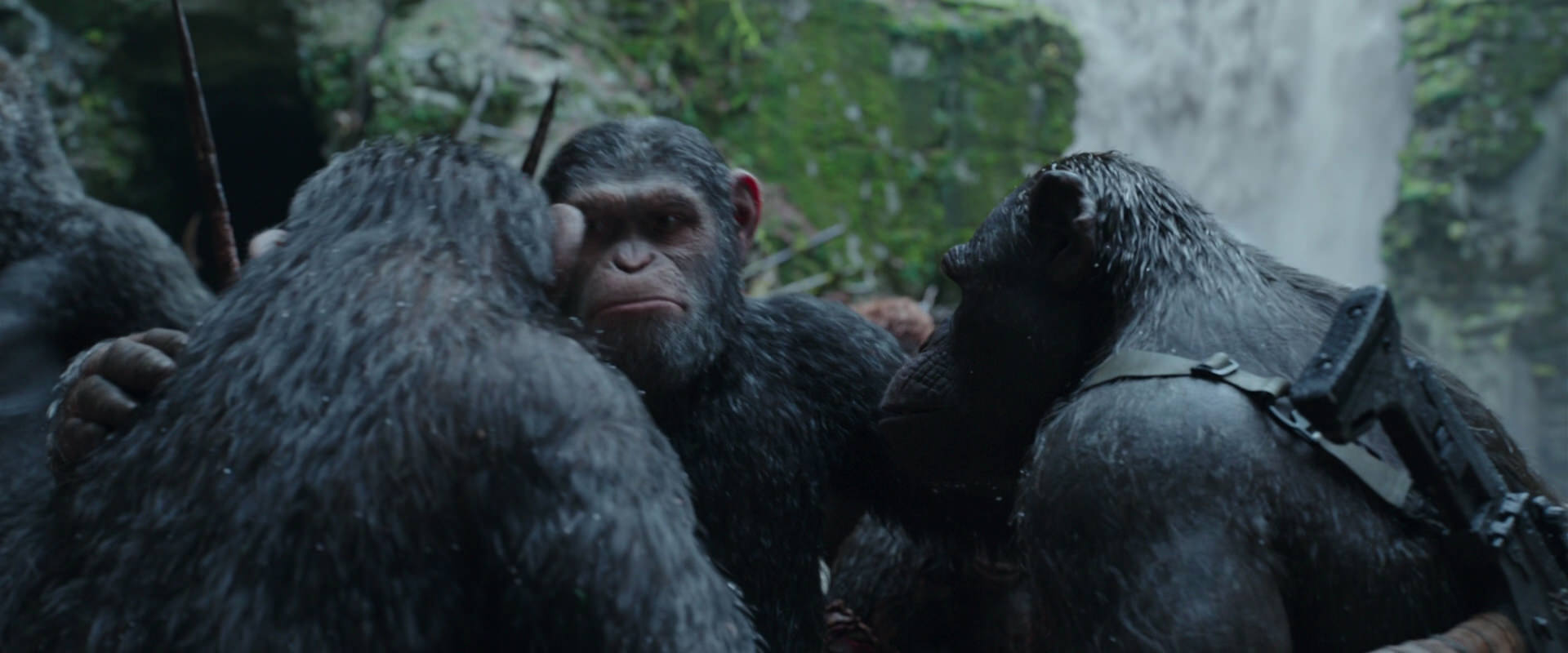 War for the Planet of the Apes (2017) movie still 1540