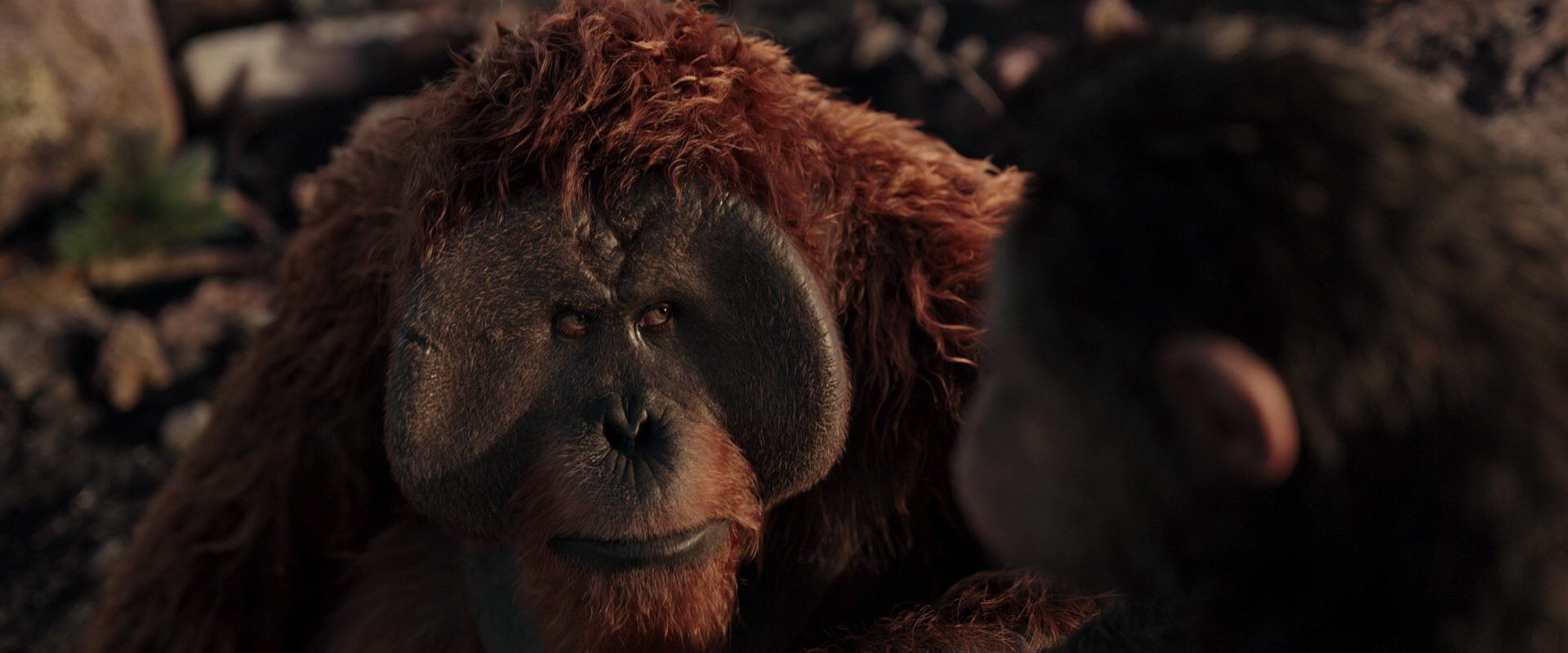 War for the Planet of the Apes (2017) movie still 15400