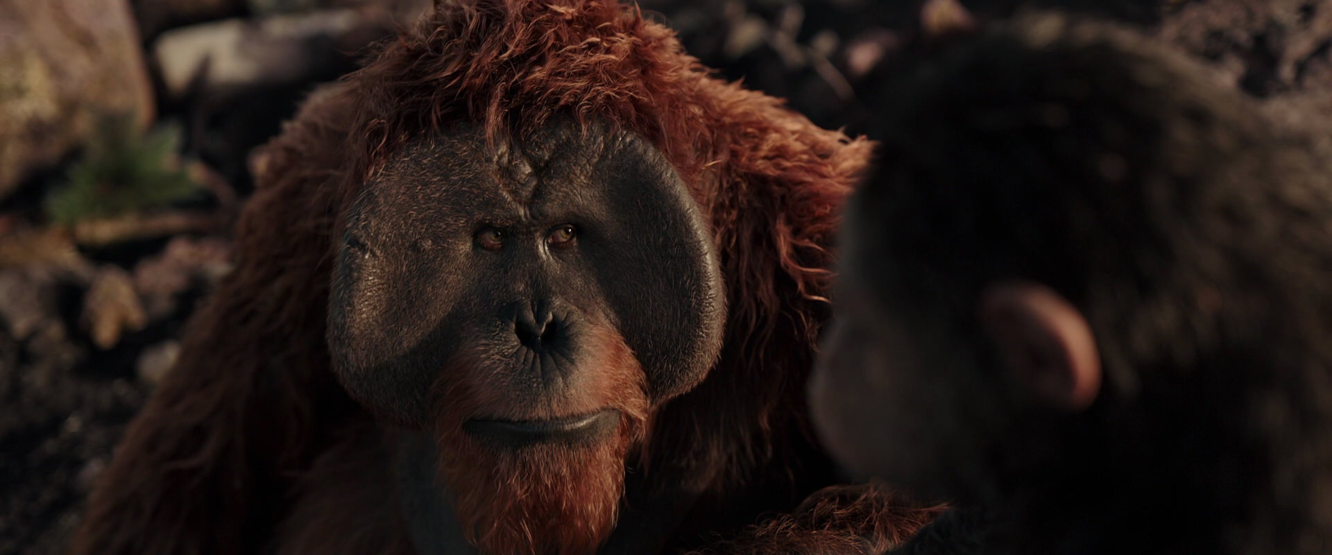 War for the Planet of the Apes (2017) HD screenshot 15401