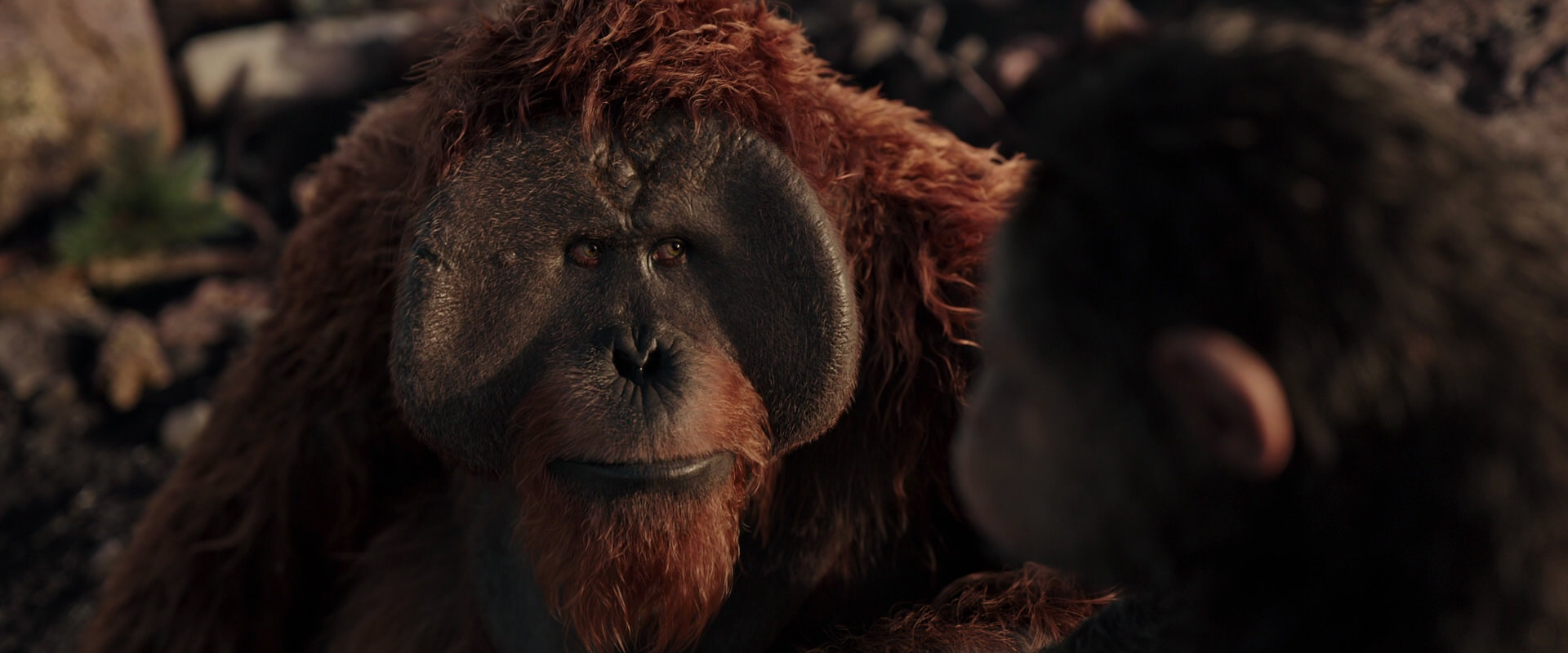 War for the Planet of the Apes (2017) screencap 15402