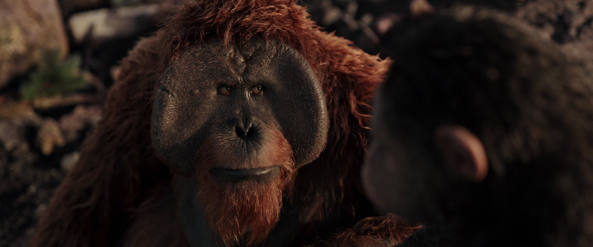 War for the Planet of the Apes (2017) movie still 15403