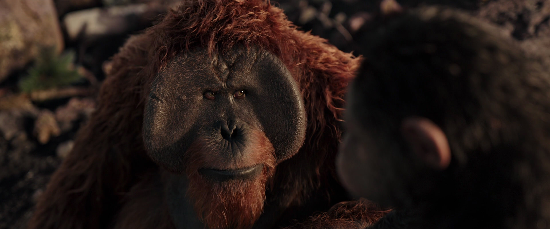 War for the Planet of the Apes (2017) HD screenshot 15404