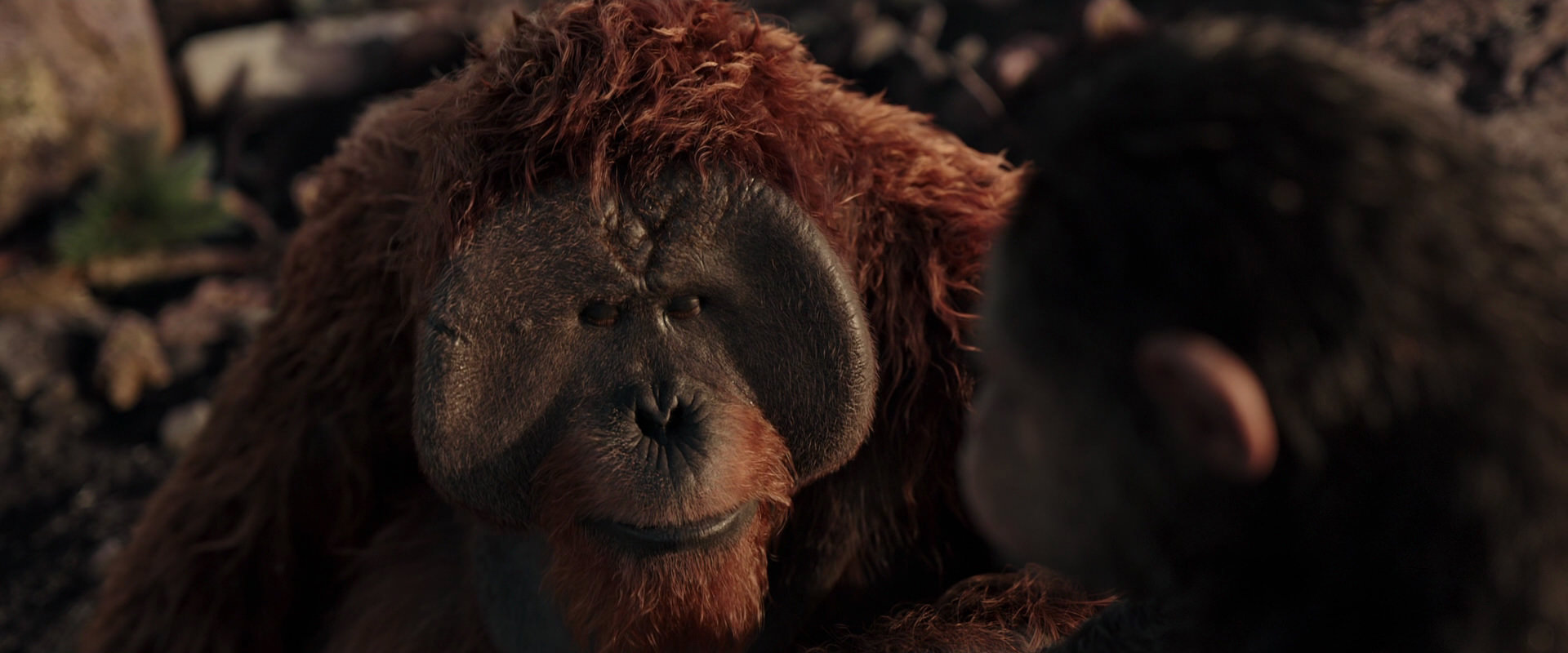 War for the Planet of the Apes (2017) screencap 15405