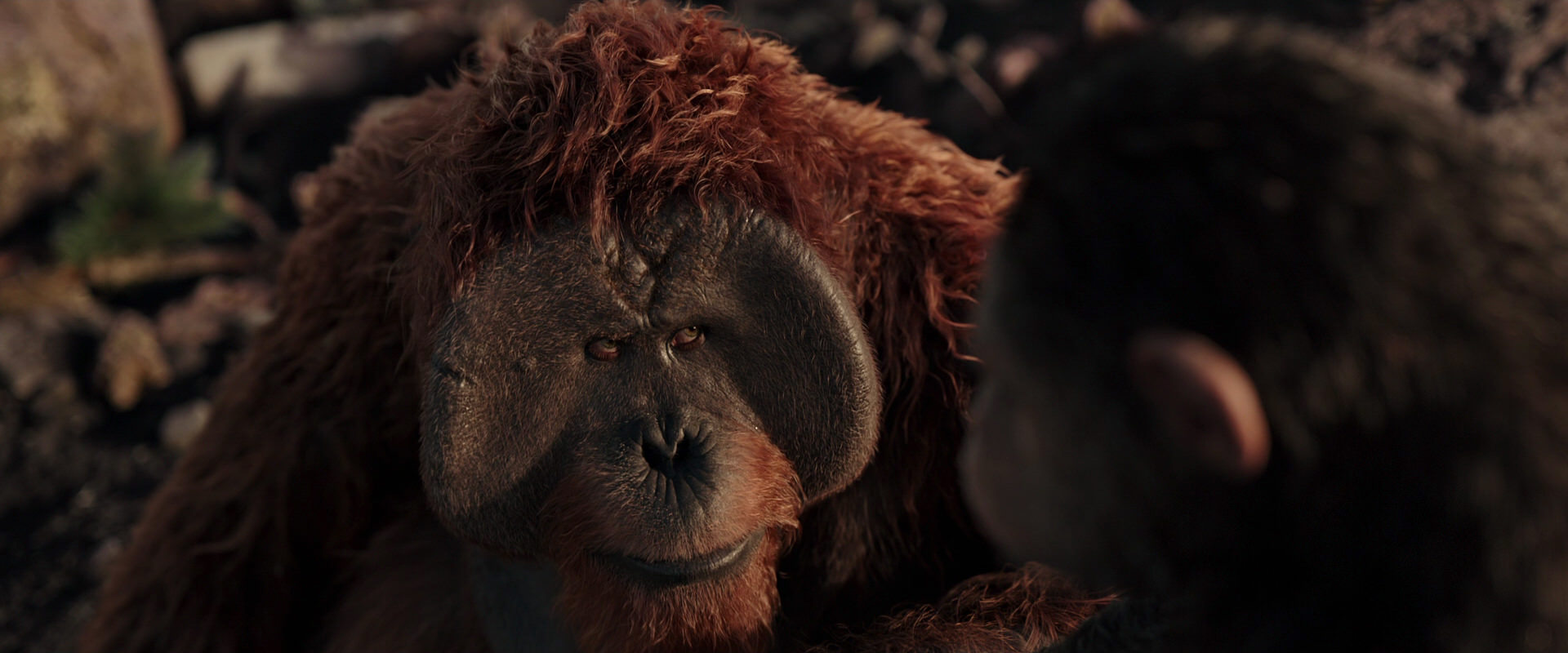 War for the Planet of the Apes (2017) movie still 15406
