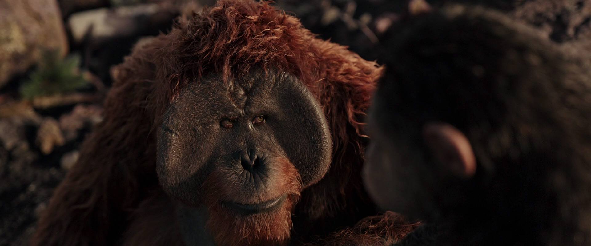 War for the Planet of the Apes (2017) HD screenshot 15407