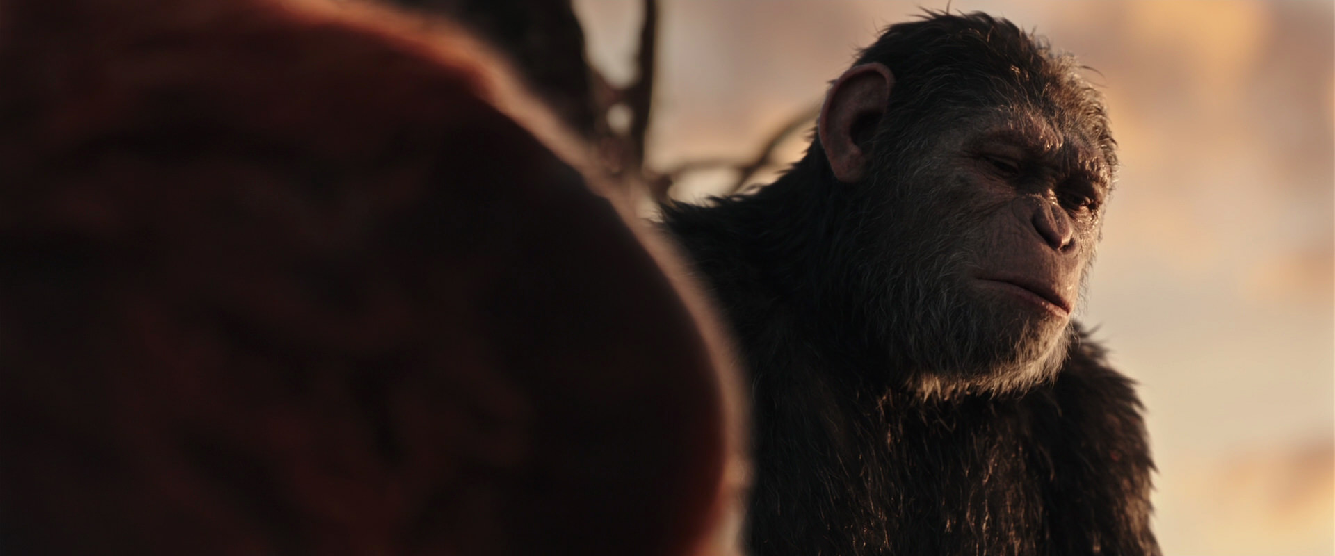 War for the Planet of the Apes (2017) screencap 15408