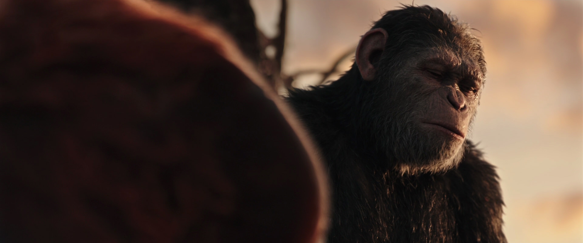 War for the Planet of the Apes (2017) movie still 15409