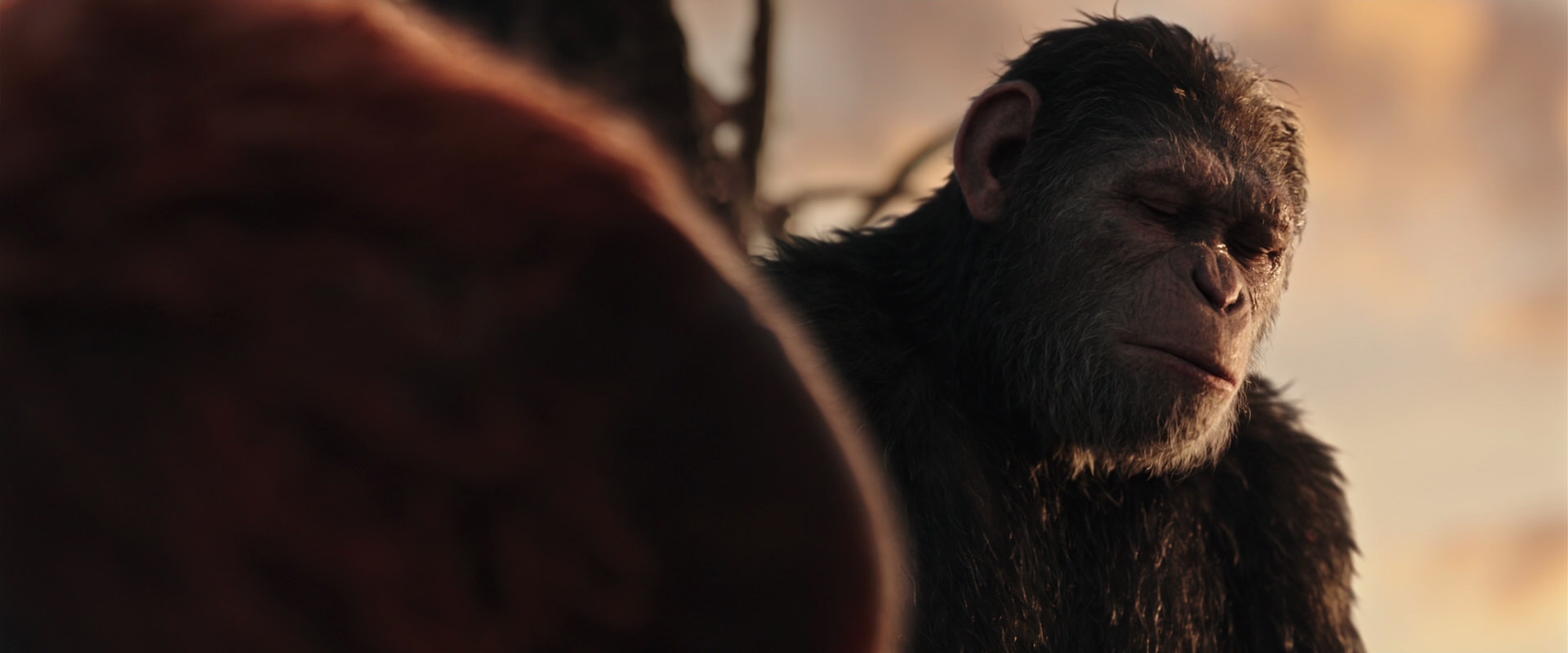 War for the Planet of the Apes (2017) HD screenshot 15410