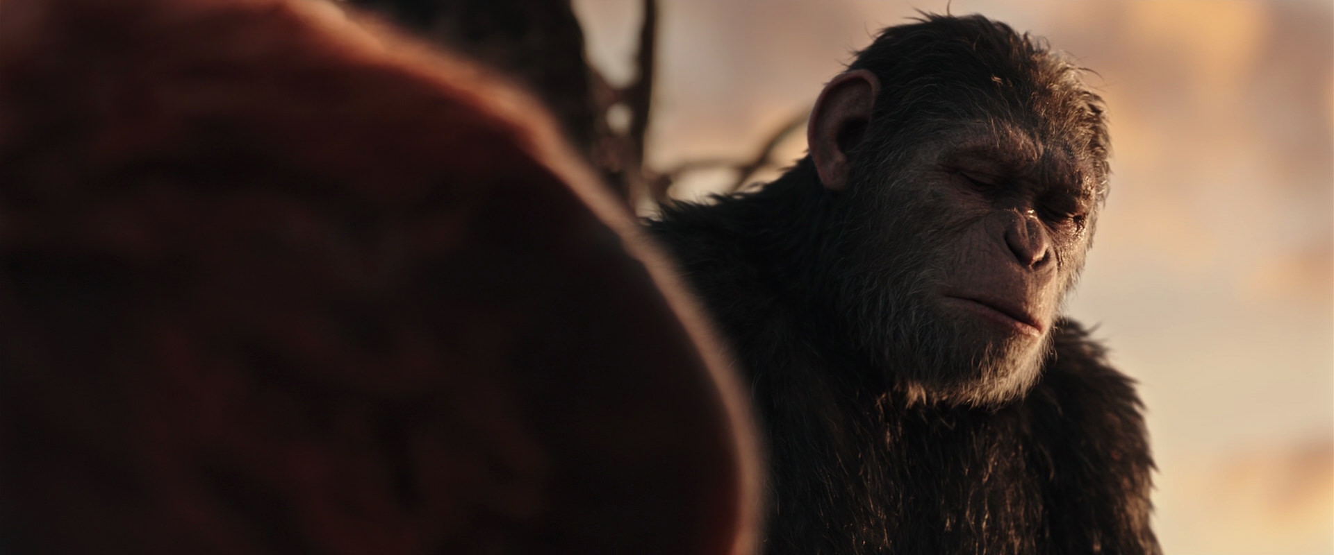 War for the Planet of the Apes (2017) screencap 15411