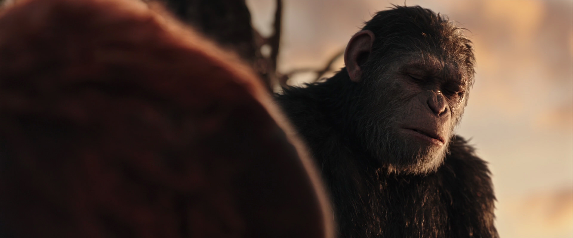 War for the Planet of the Apes (2017) movie still 15412