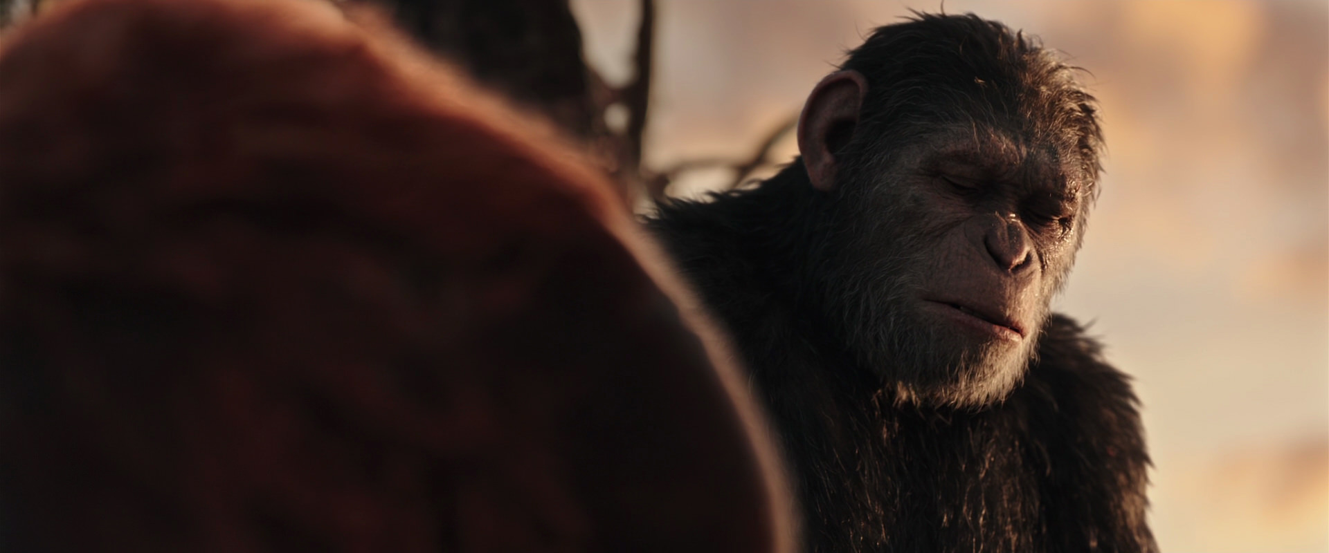 War for the Planet of the Apes (2017) HD screenshot 15413