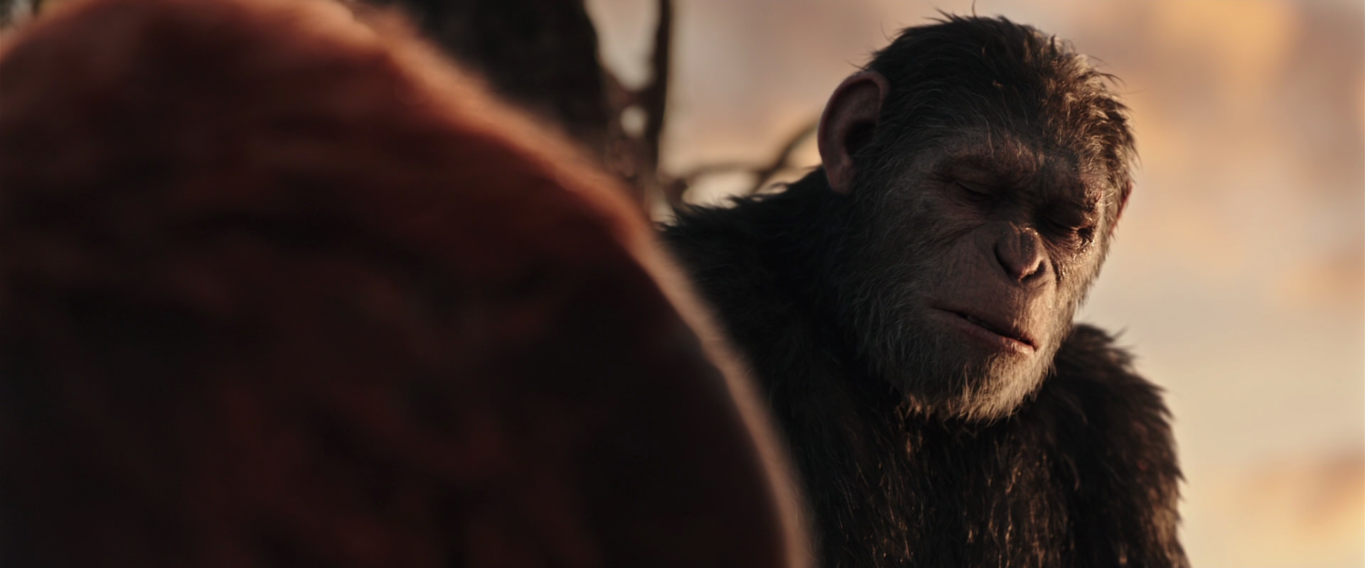 War for the Planet of the Apes (2017) screencap 15414