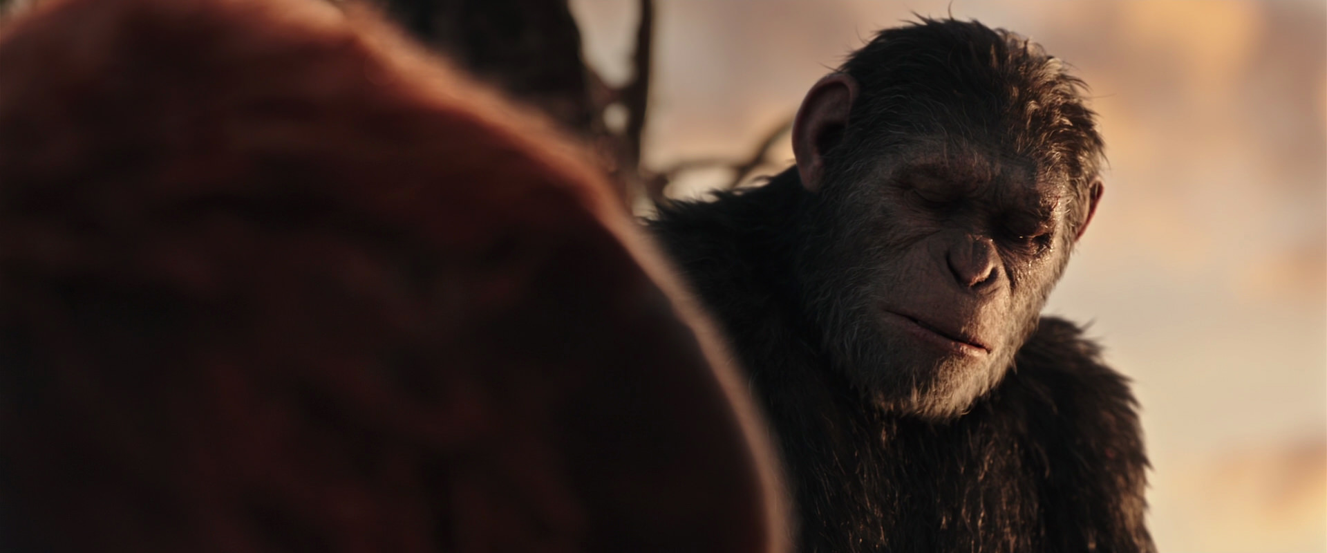 War for the Planet of the Apes (2017) HD screenshot 15416