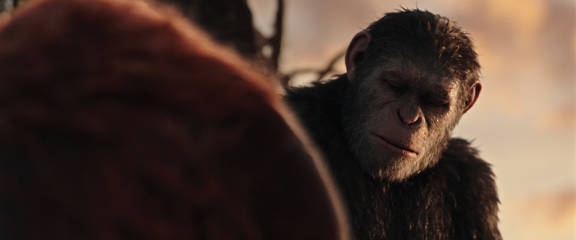 War for the Planet of the Apes (2017) screencap 15417