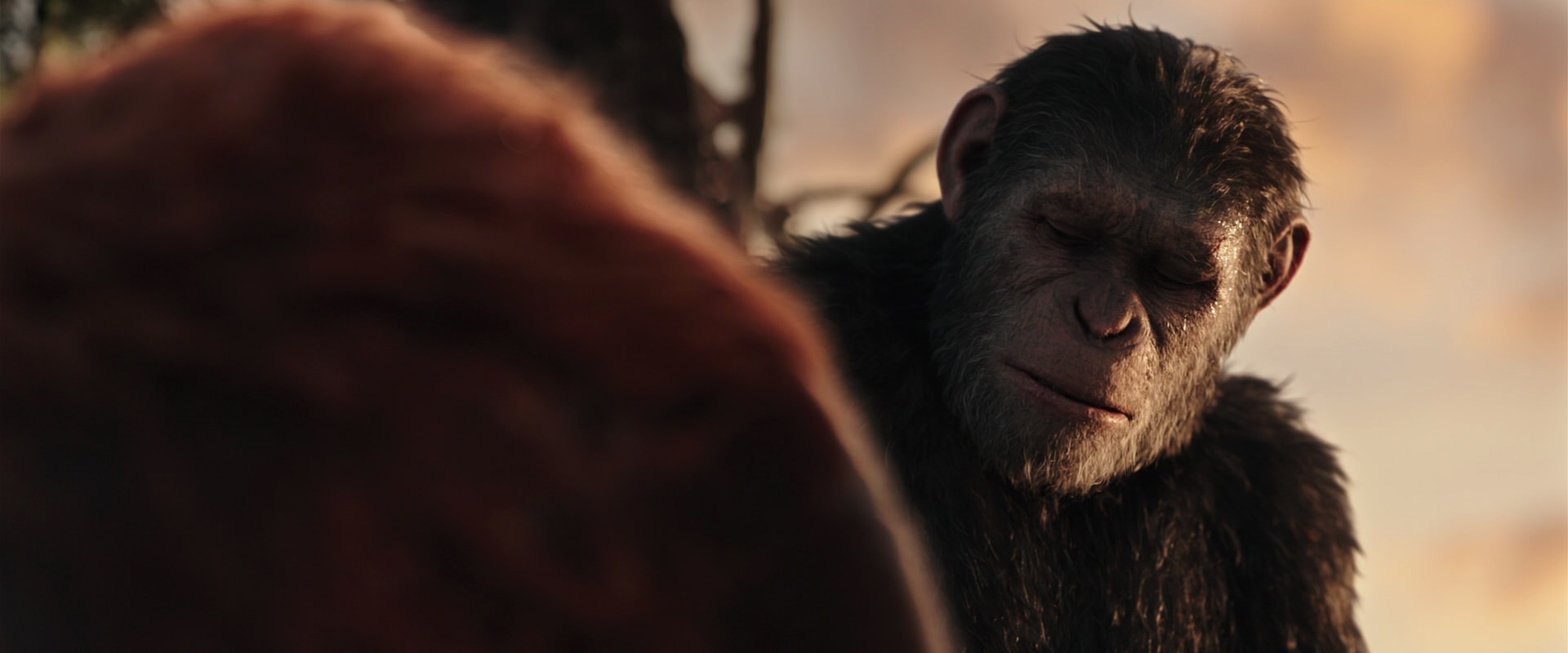 War for the Planet of the Apes (2017) movie still 15418