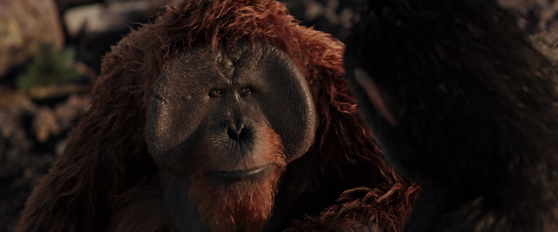 War for the Planet of the Apes (2017) HD screenshot 15419