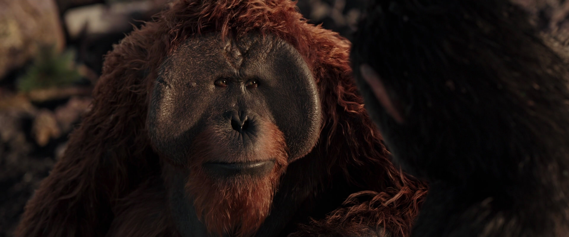 War for the Planet of the Apes (2017) screencap 15420