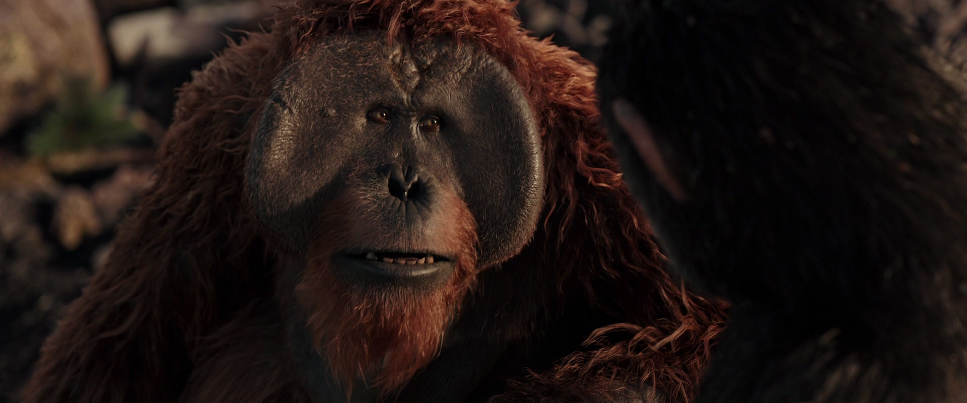 War for the Planet of the Apes (2017) movie still 15421