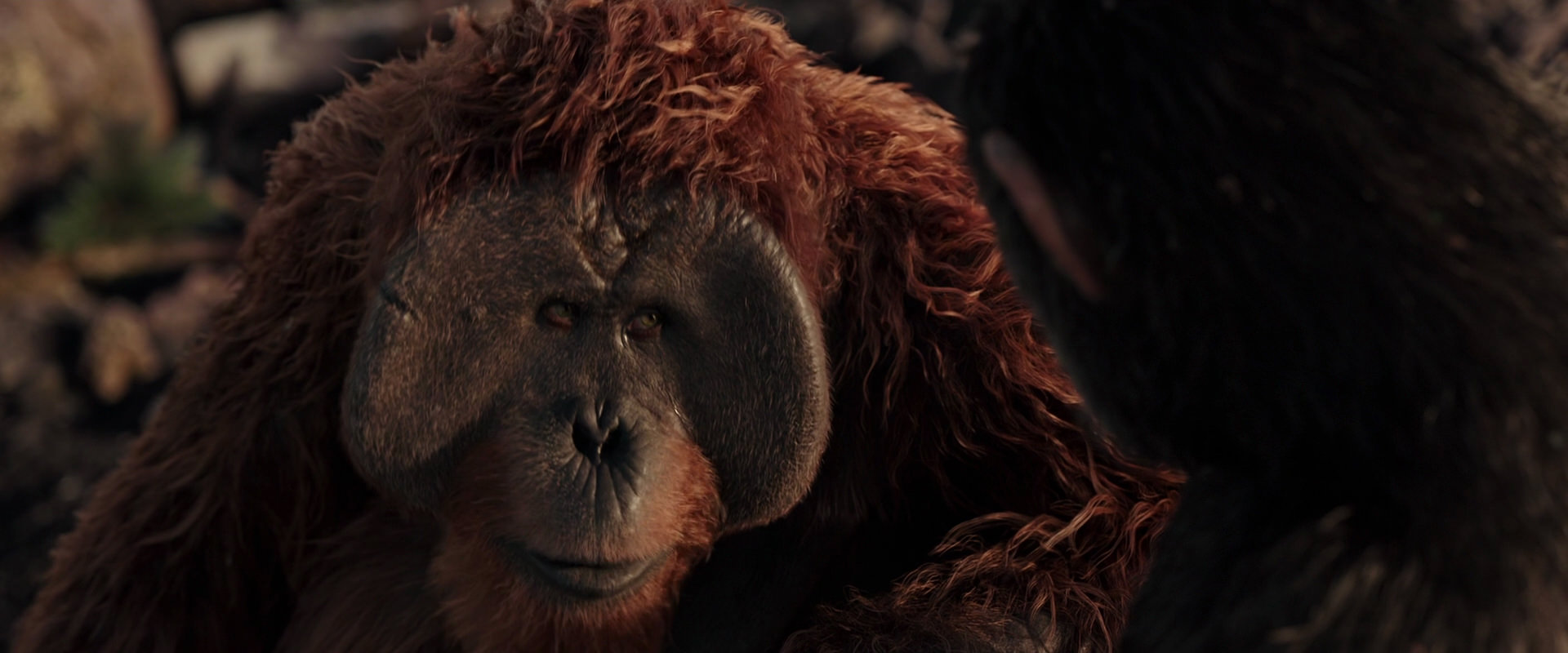 War for the Planet of the Apes (2017) screencap 15423