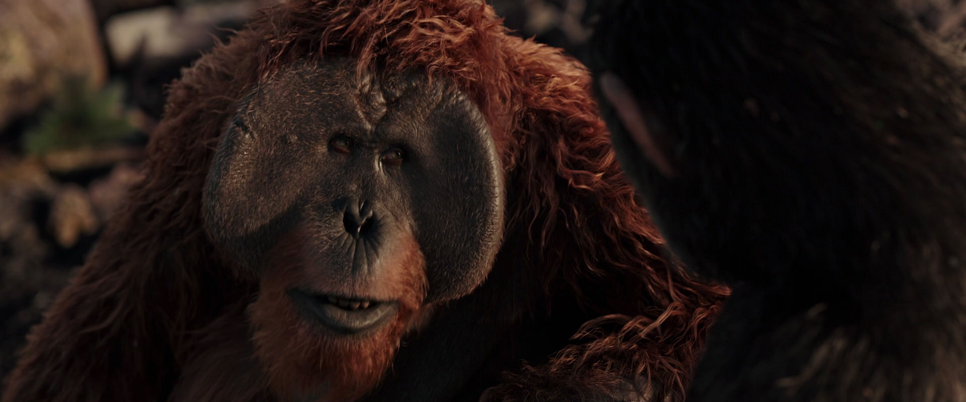 War for the Planet of the Apes (2017) movie still 15424