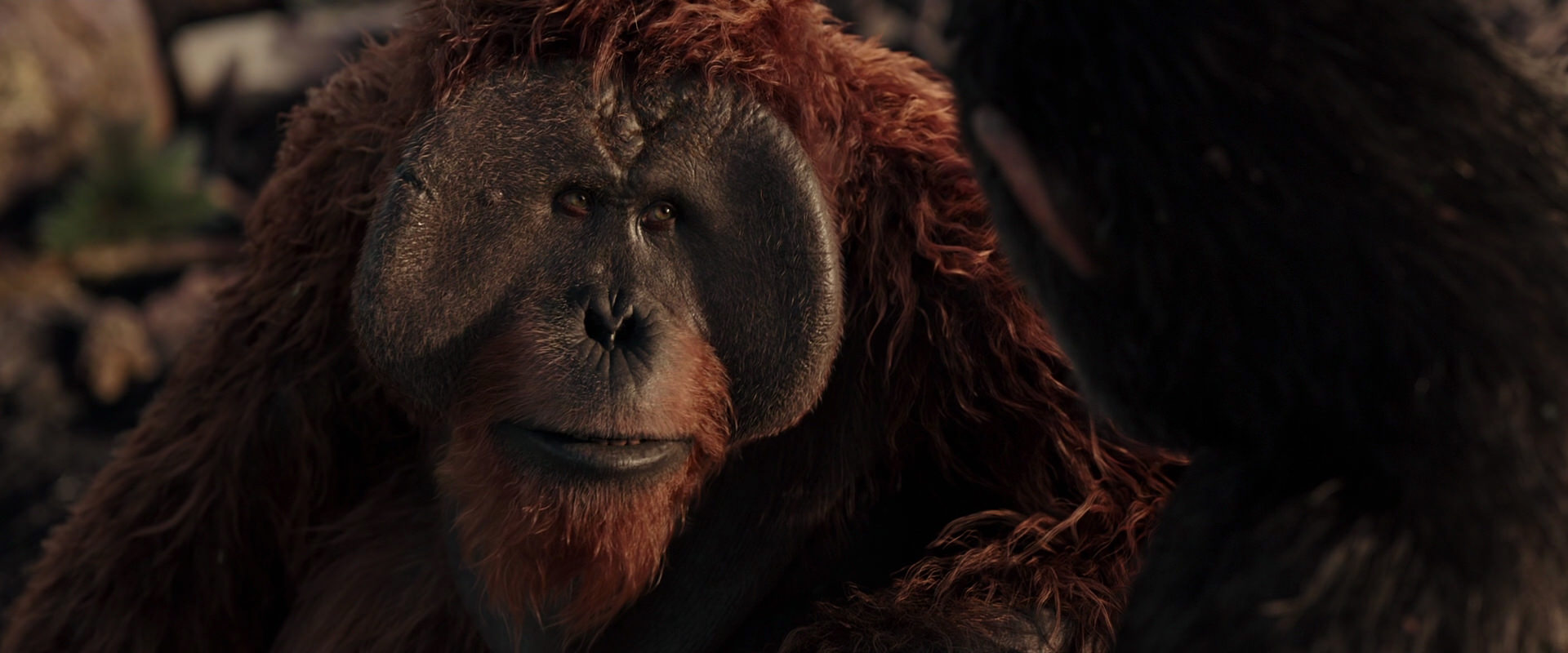 War for the Planet of the Apes (2017) HD screenshot 15425