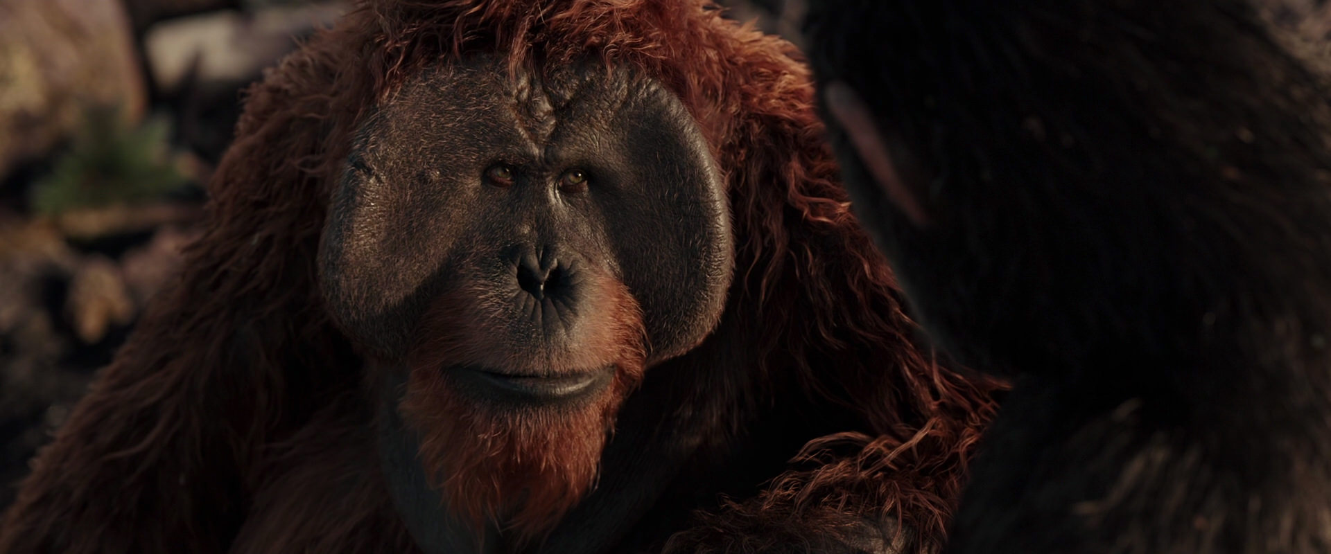 War for the Planet of the Apes (2017) screencap 15426