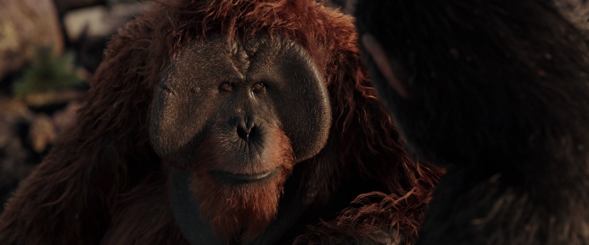 War for the Planet of the Apes (2017) movie still 15427