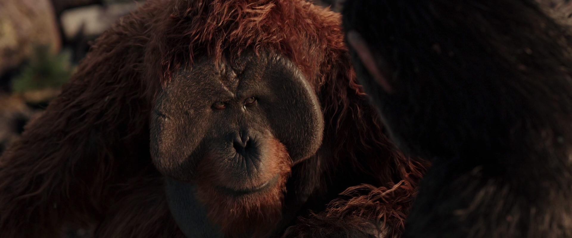 War for the Planet of the Apes (2017) HD screenshot 15428