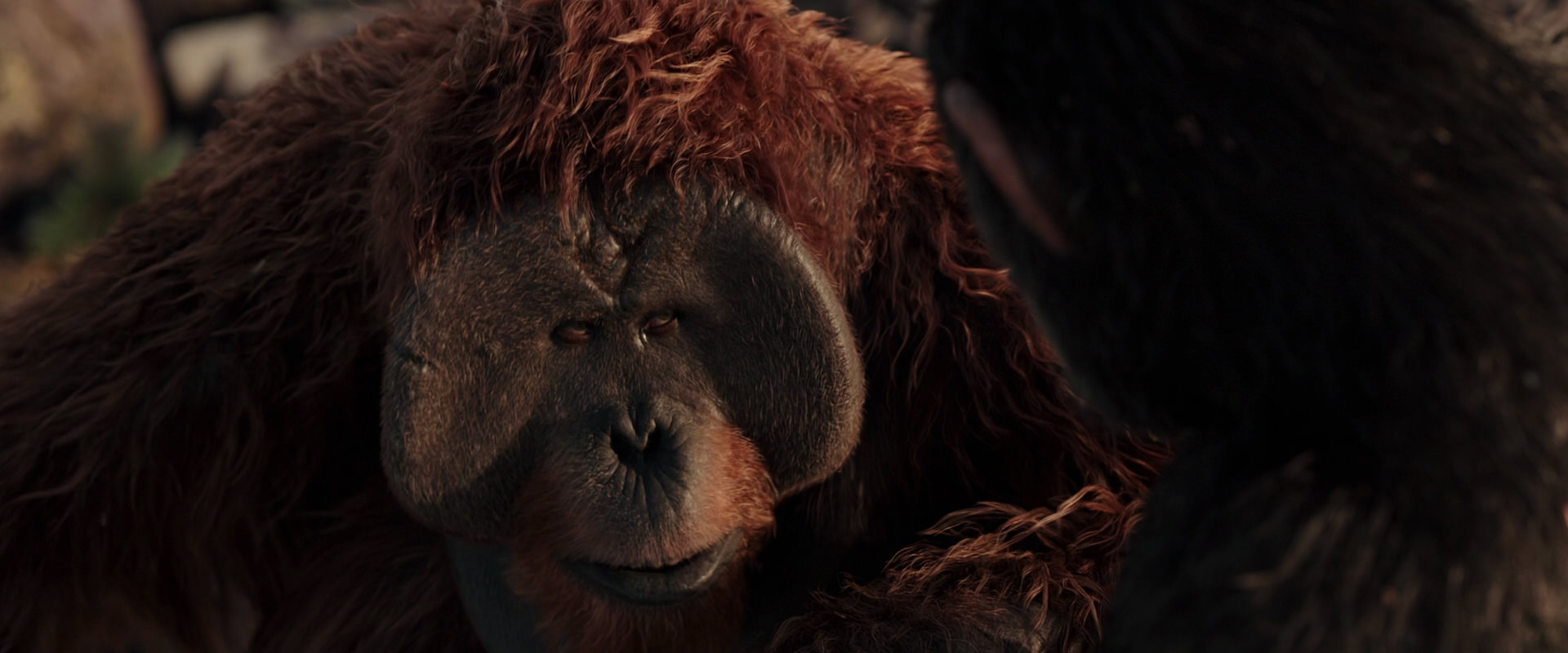 War for the Planet of the Apes (2017) screencap 15429