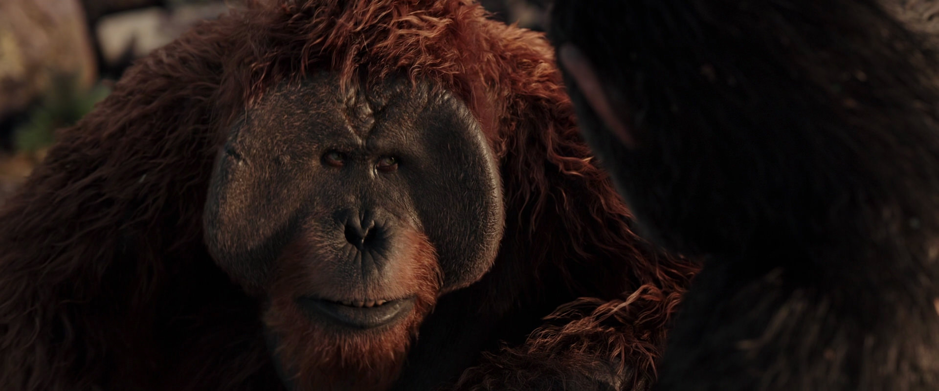 War for the Planet of the Apes (2017) movie still 15430