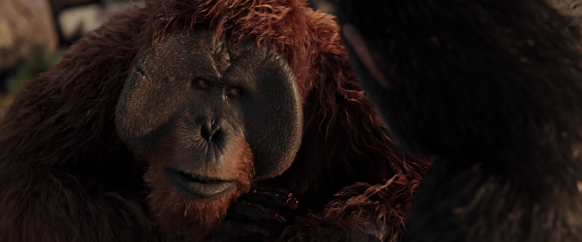 War for the Planet of the Apes (2017) HD screenshot 15431
