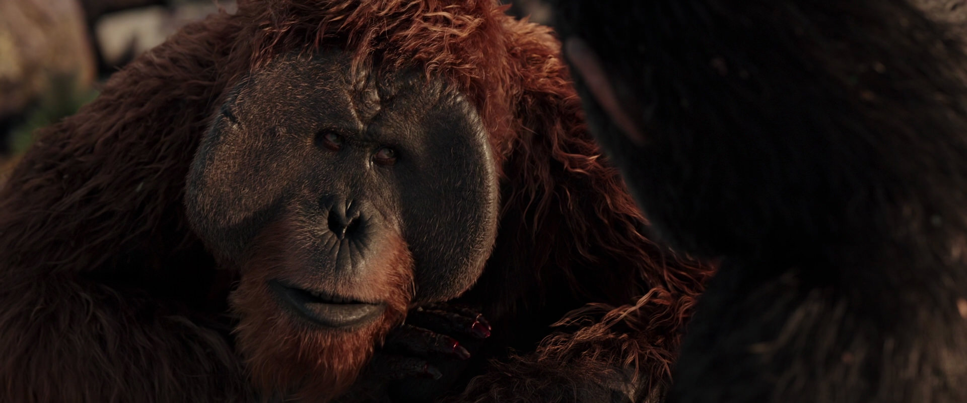 War for the Planet of the Apes (2017) screencap 15432