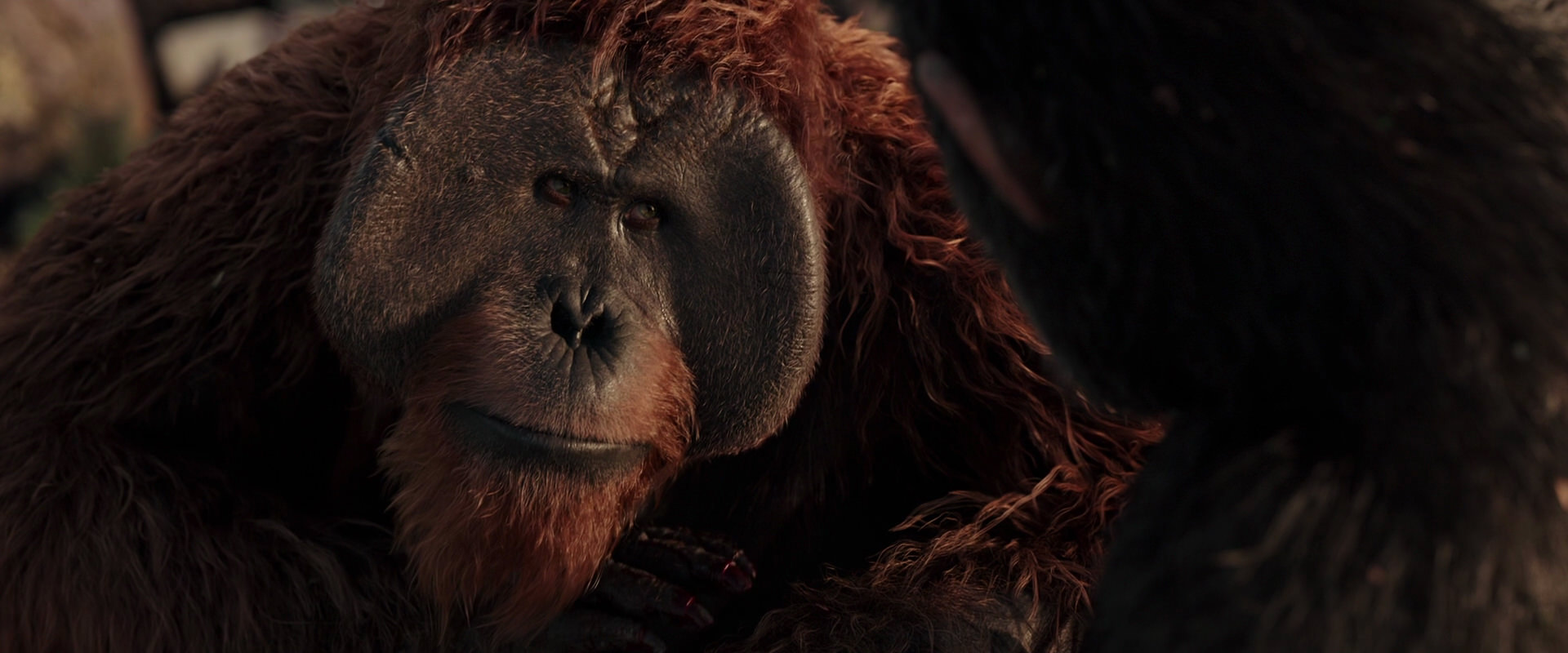 War for the Planet of the Apes (2017) movie still 15433
