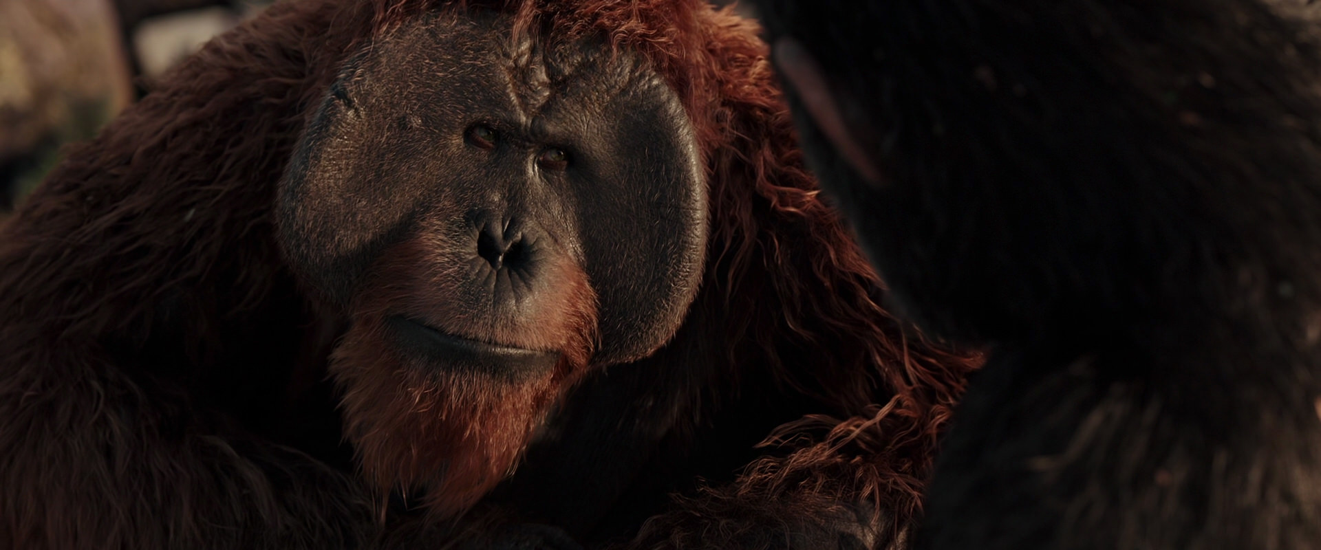 War for the Planet of the Apes (2017) HD screenshot 15434