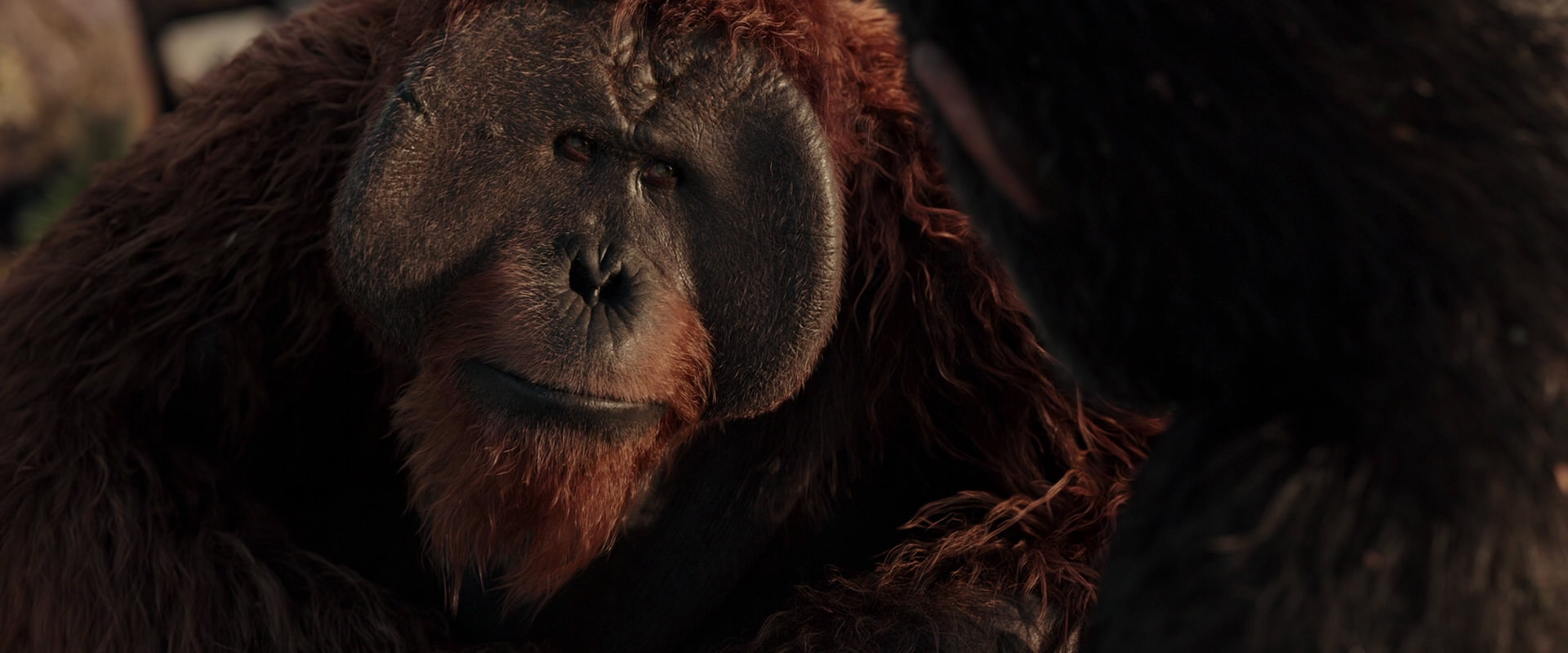 War for the Planet of the Apes (2017) screencap 15435