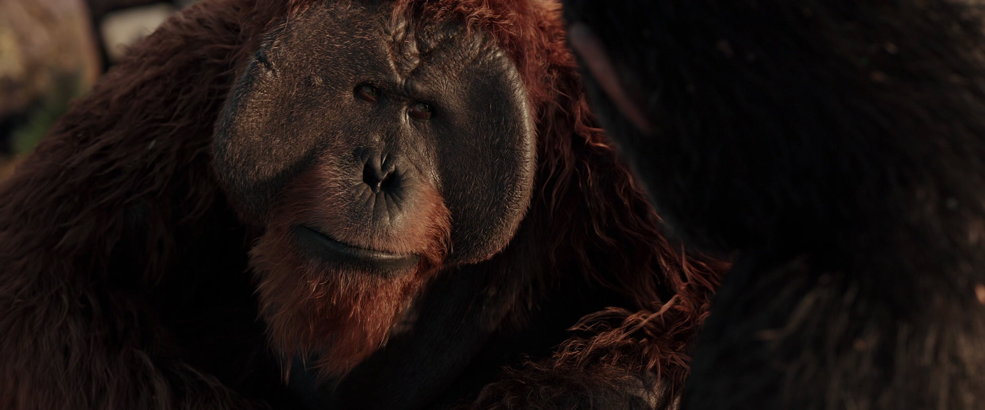 War for the Planet of the Apes (2017) movie still 15436