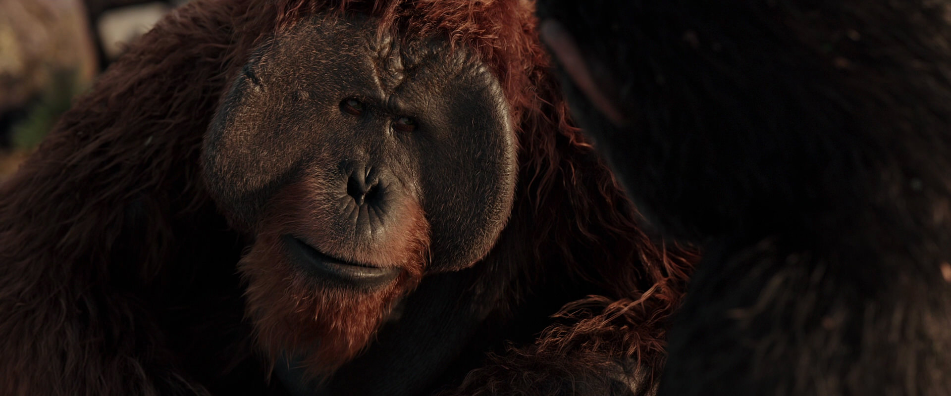 War for the Planet of the Apes (2017) screencap 15438