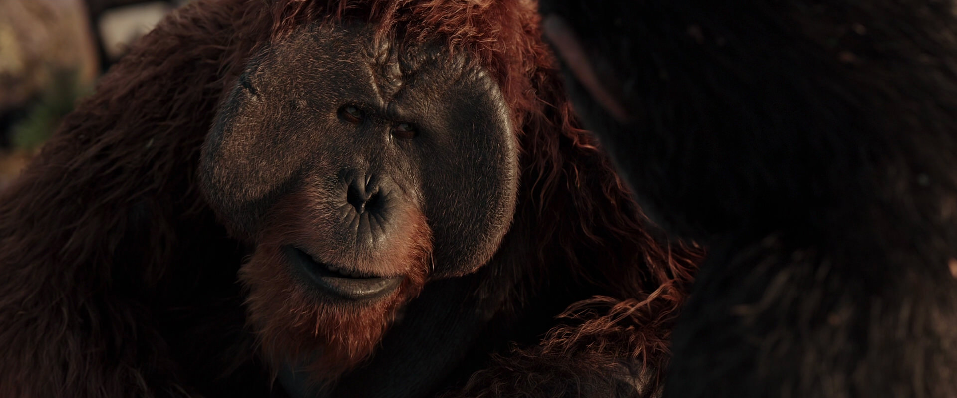War for the Planet of the Apes (2017) movie still 15439
