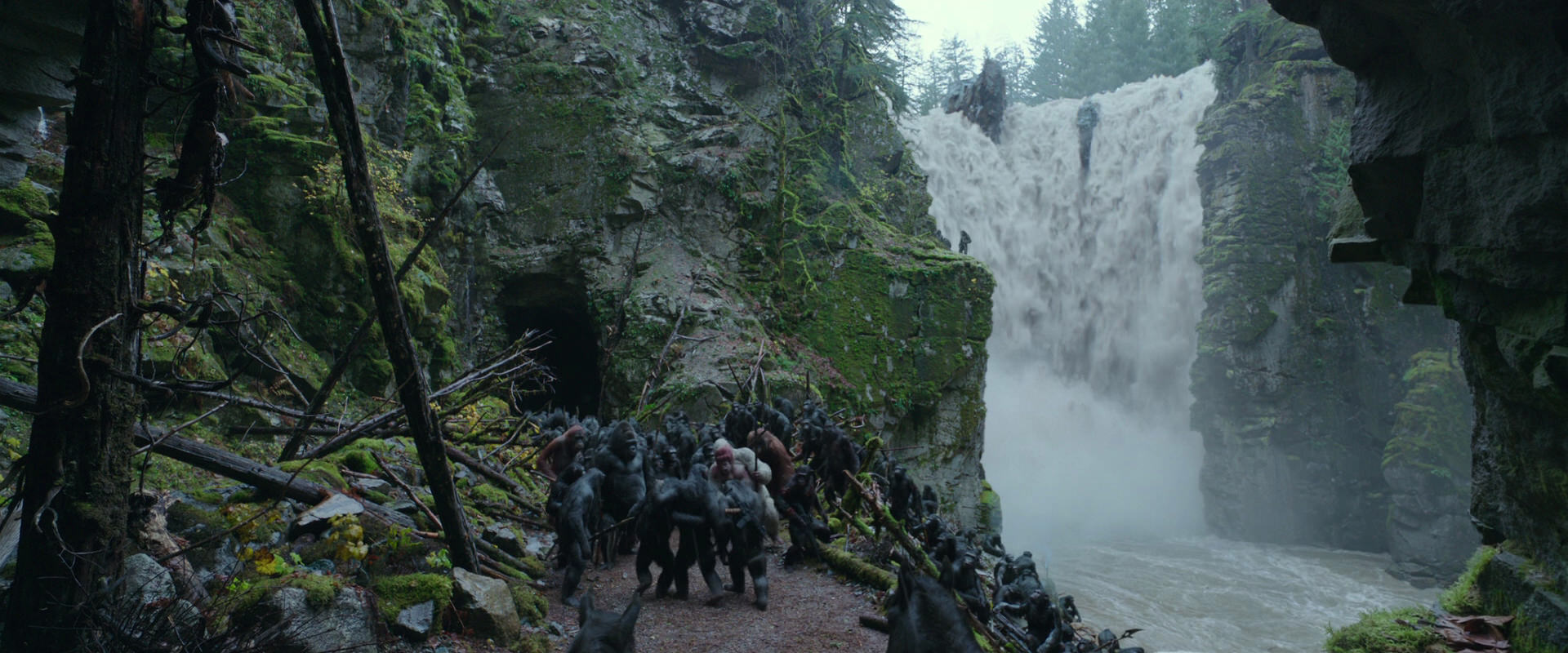 War for the Planet of the Apes (2017) HD screenshot 1544