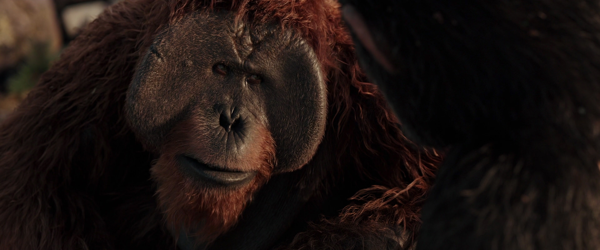 War for the Planet of the Apes (2017) HD screenshot 15440
