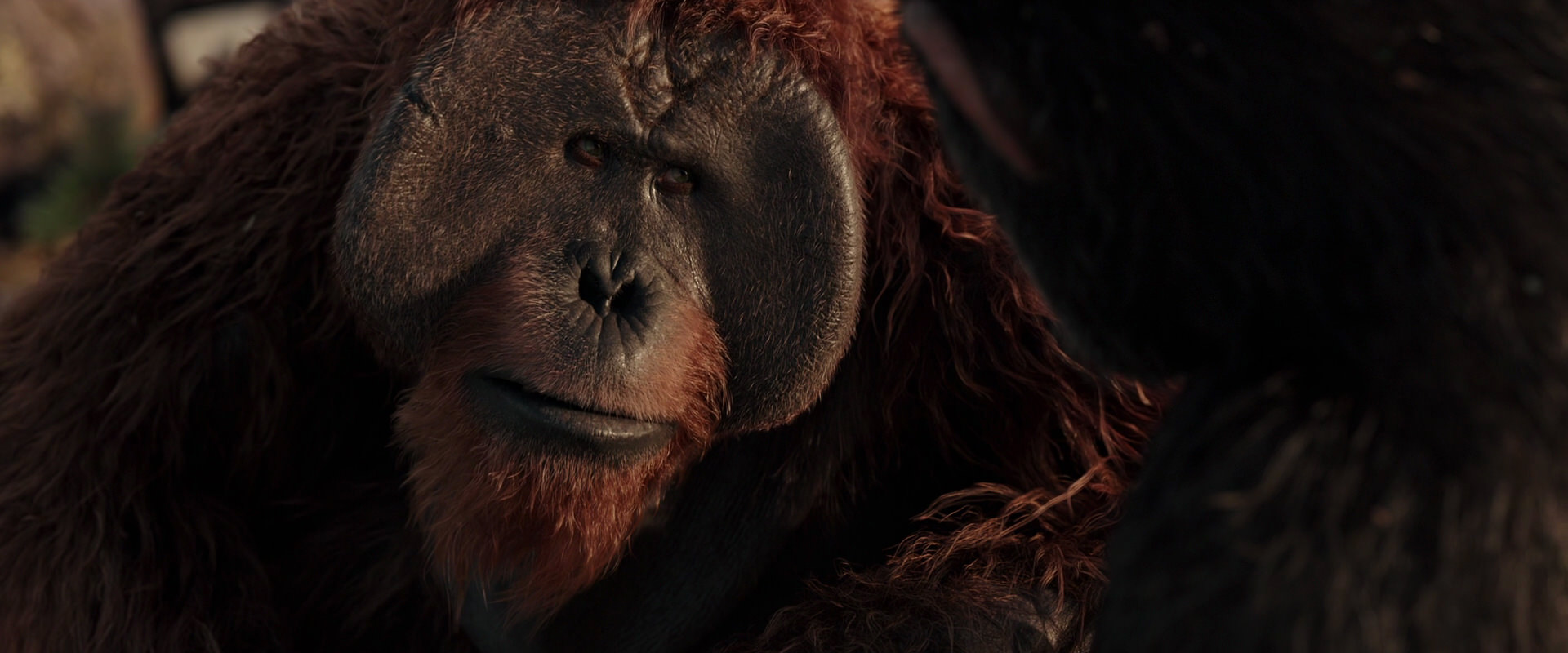 War for the Planet of the Apes (2017) screencap 15441