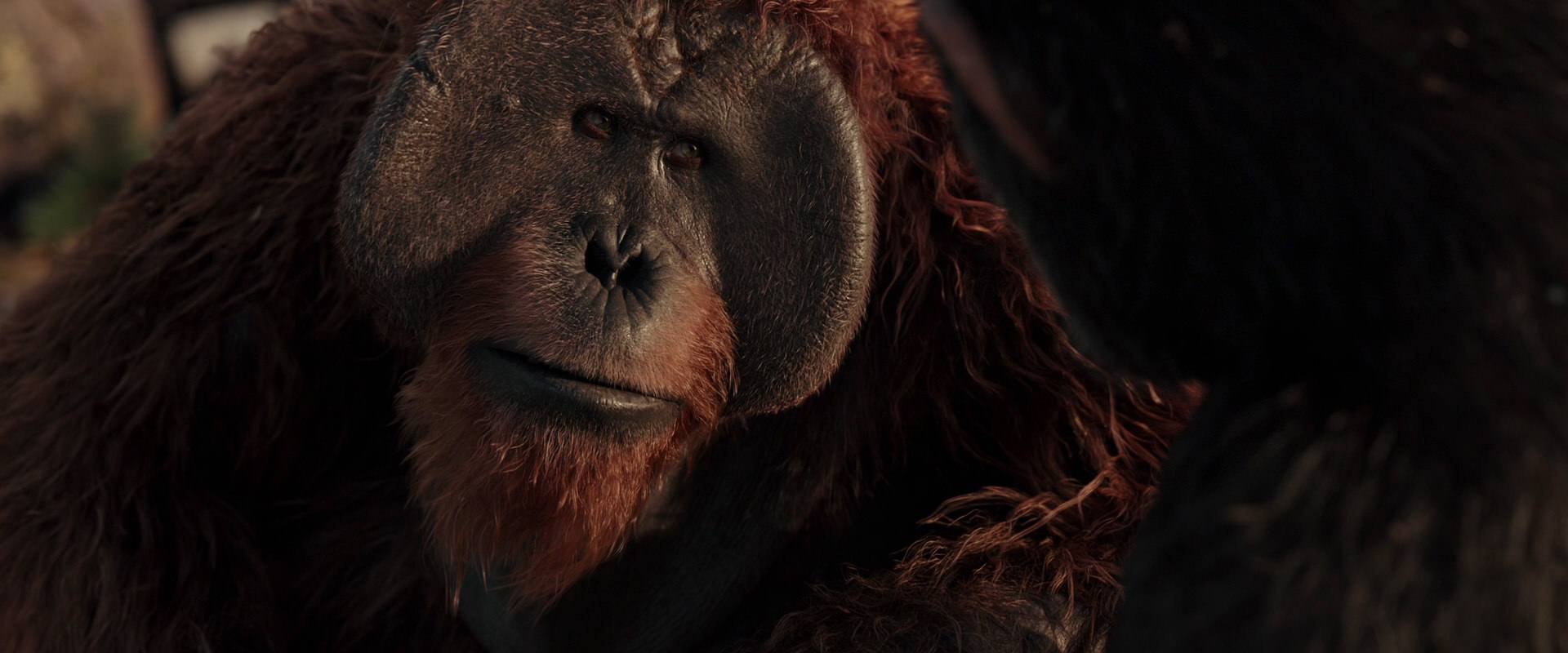 War for the Planet of the Apes (2017) HD screenshot 15443