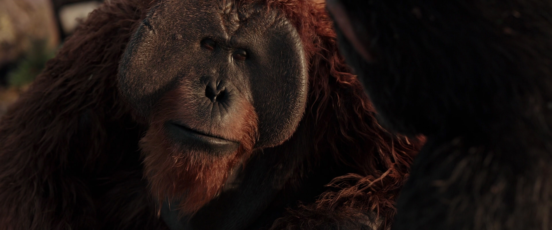 War for the Planet of the Apes (2017) screencap 15444