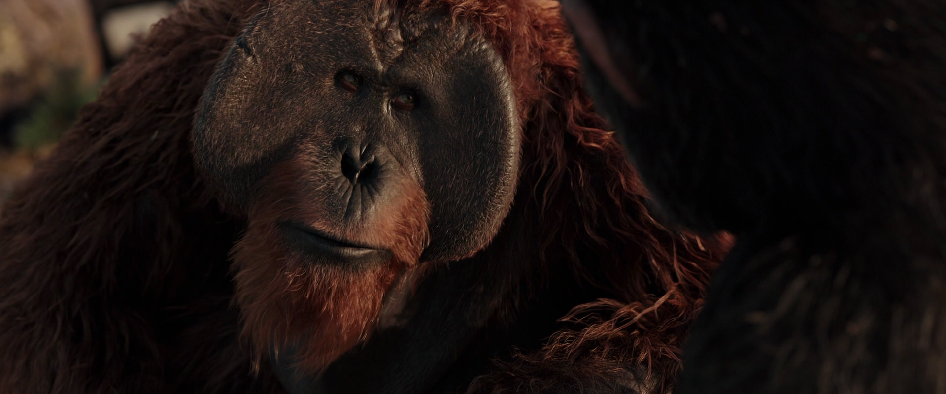 War for the Planet of the Apes (2017) movie still 15445