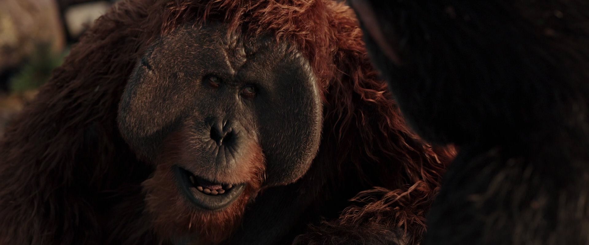 War for the Planet of the Apes (2017) HD screenshot 15446