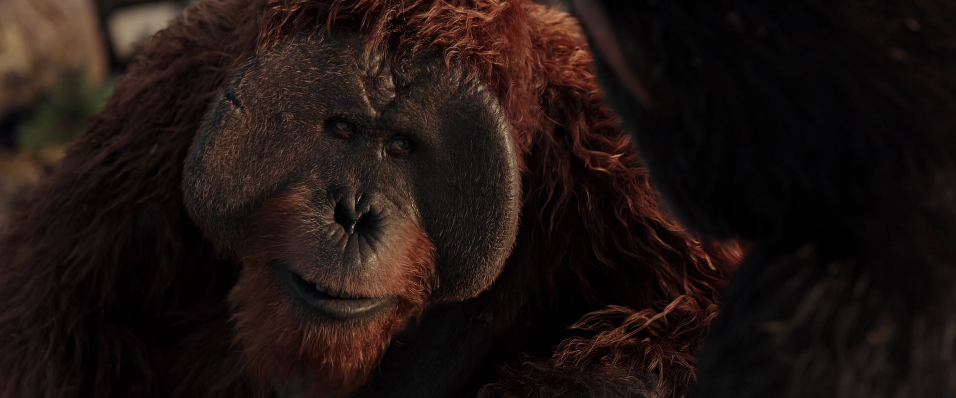 War for the Planet of the Apes (2017) screencap 15447